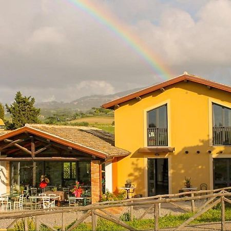 Country House Erba Regina 프라스카티 외부 사진