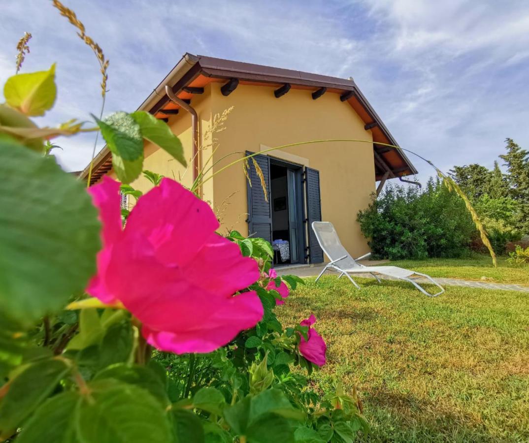 Country House Erba Regina 프라스카티 외부 사진